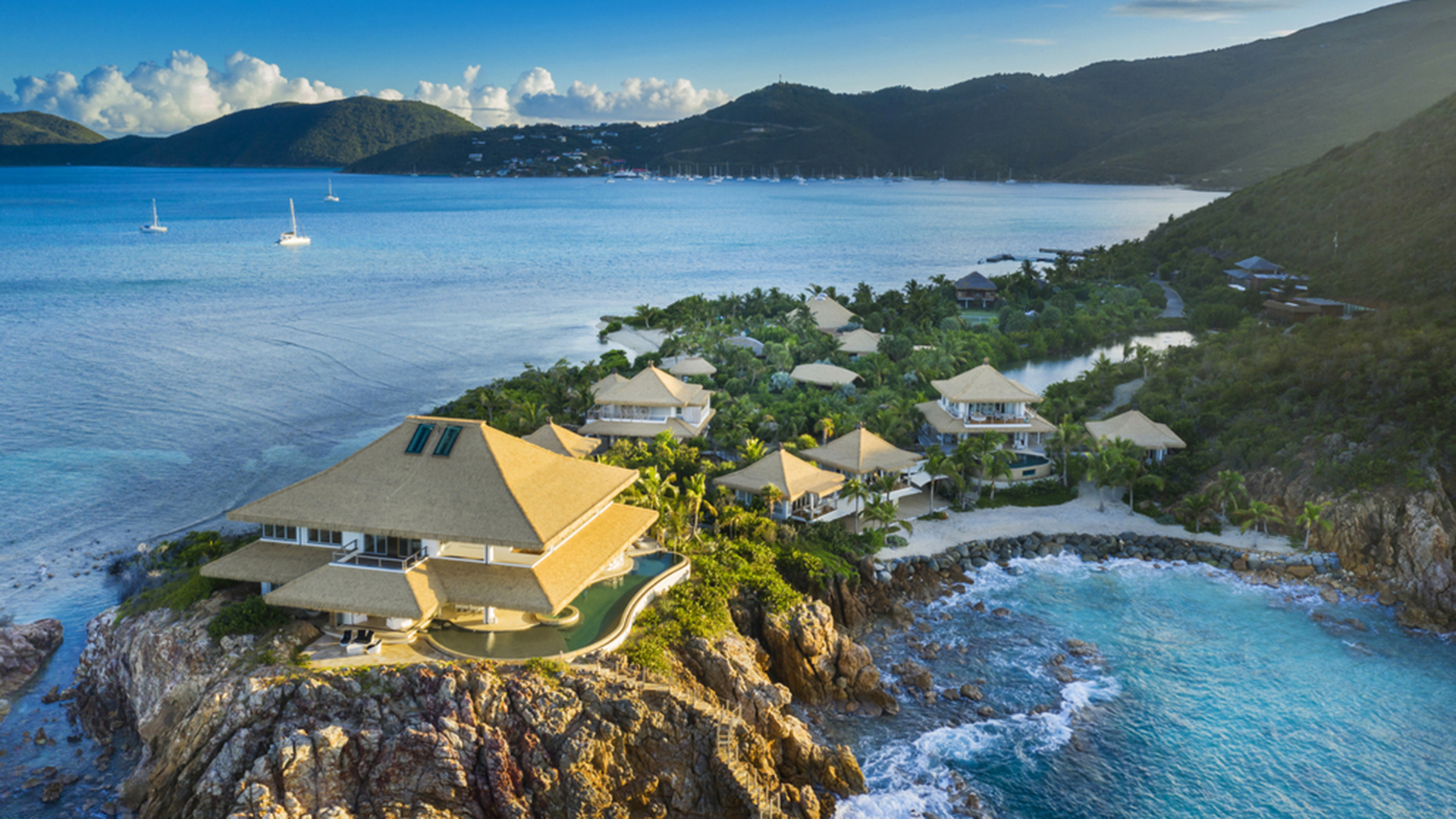 Umbraco.Cms.Core.Models.MediaWithCrops`1[Umbraco.Cms.Web.Common.PublishedModels.Image]