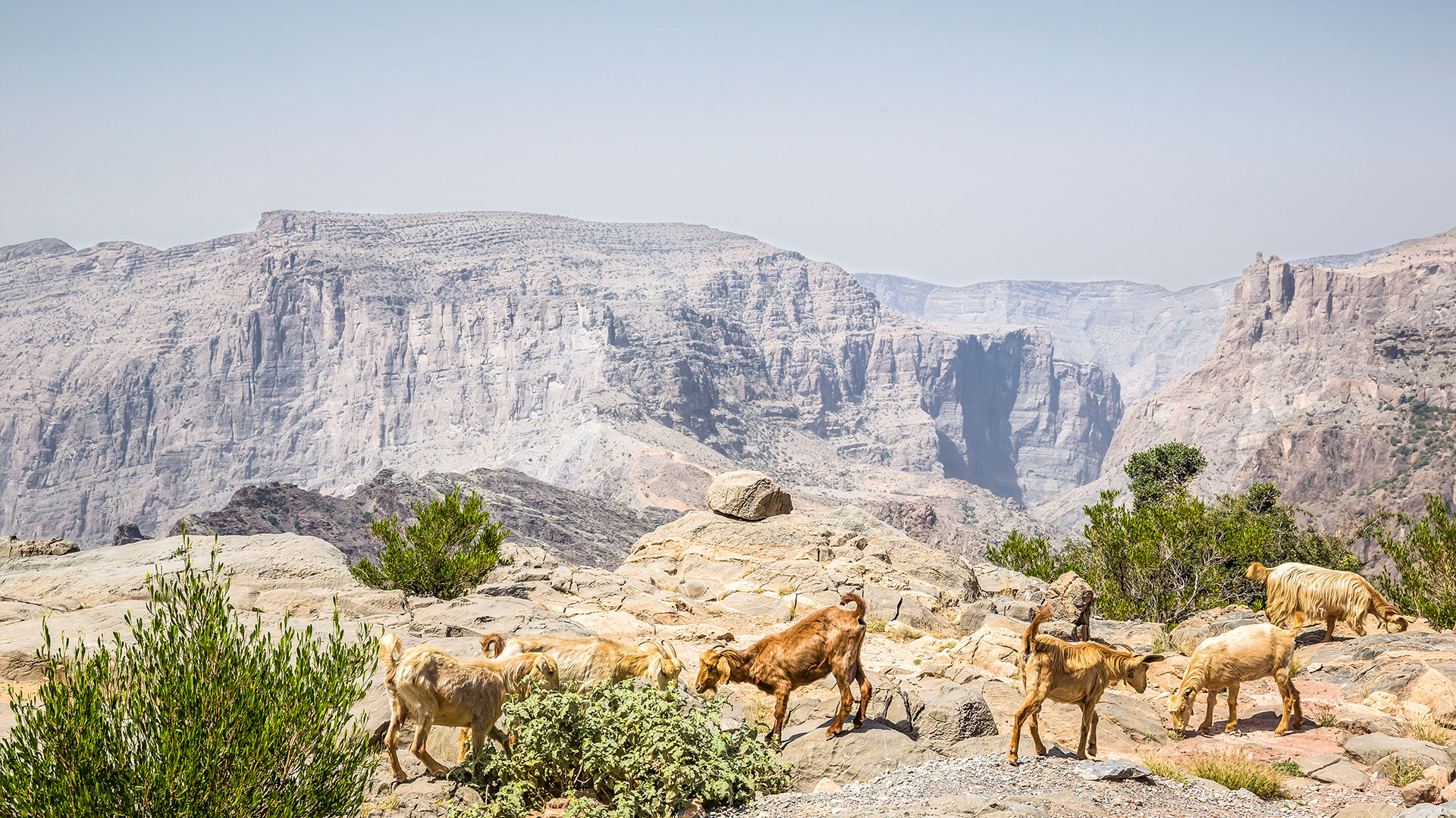 Anantara Al Jabal Al Akhdar Resort