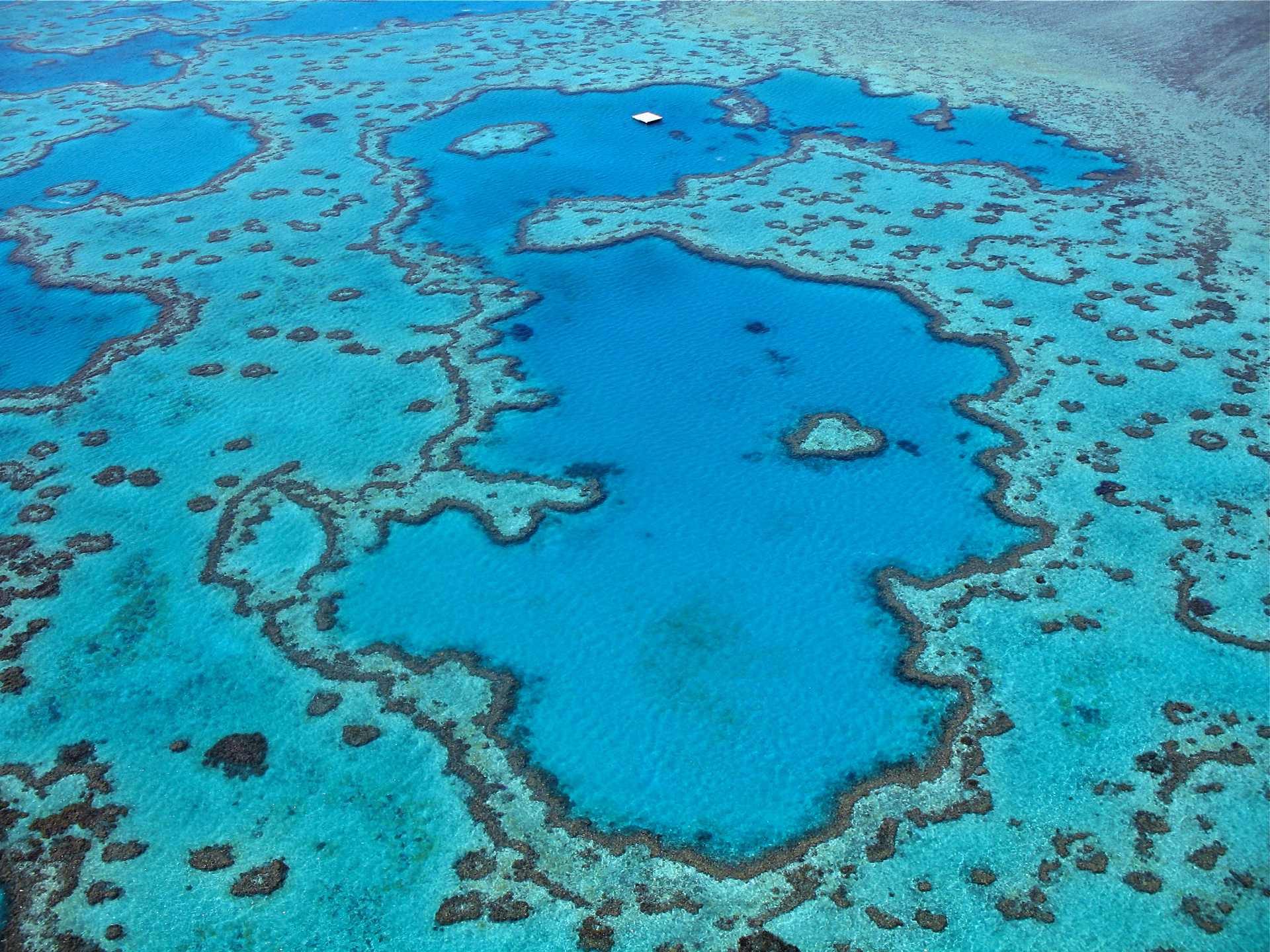 An aerial view looking down at a part of the great barrier reef