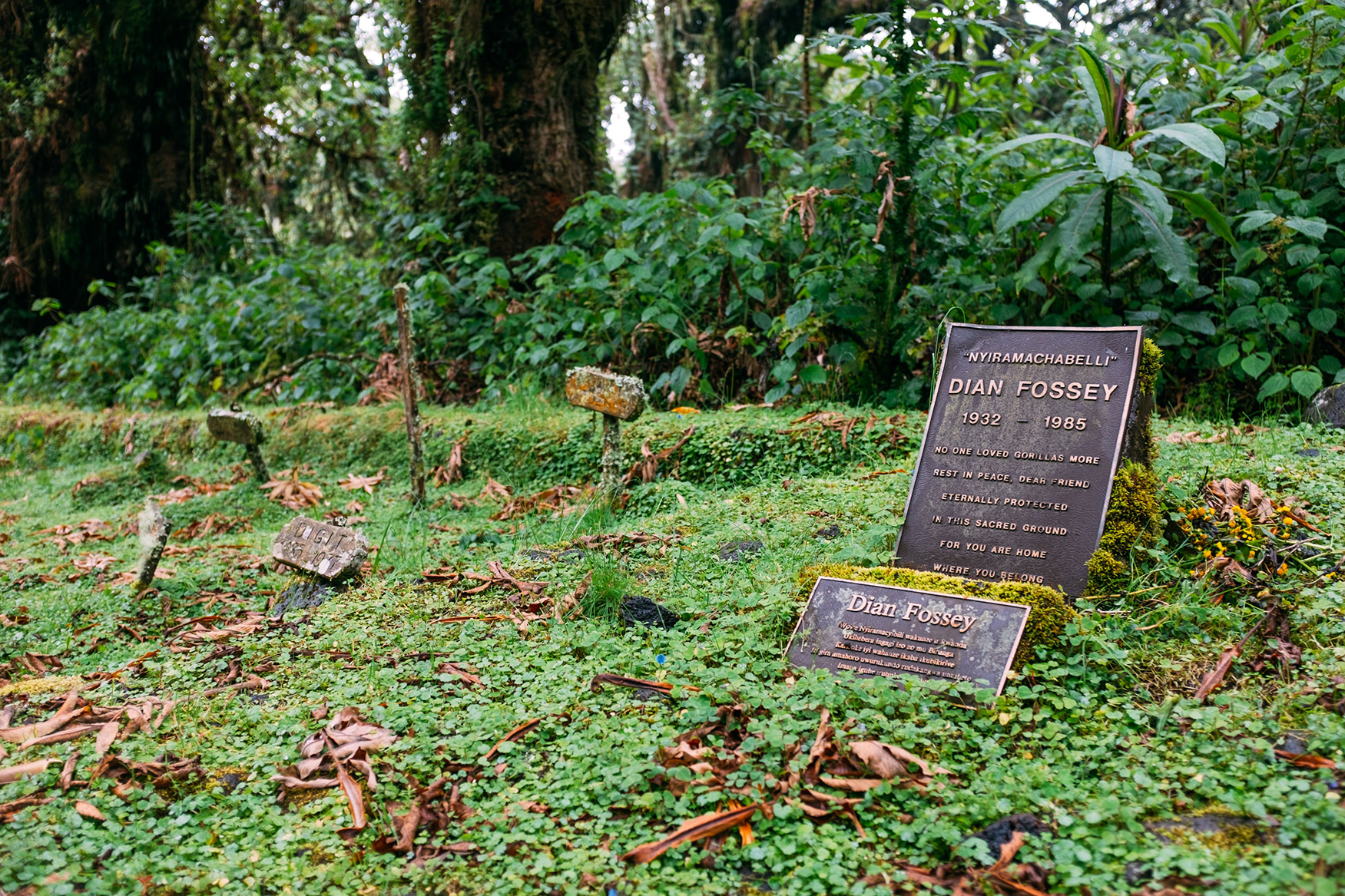 Africa, Rwanda, Headstone of Dian Fossey in Volcanoes National Park