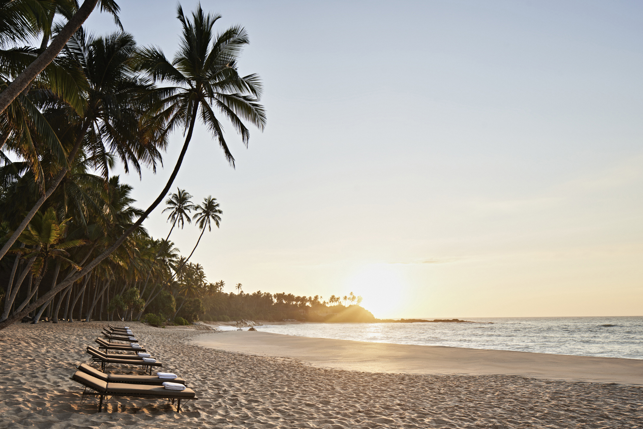Loungers lined up along the sand of a beach fringed with palms