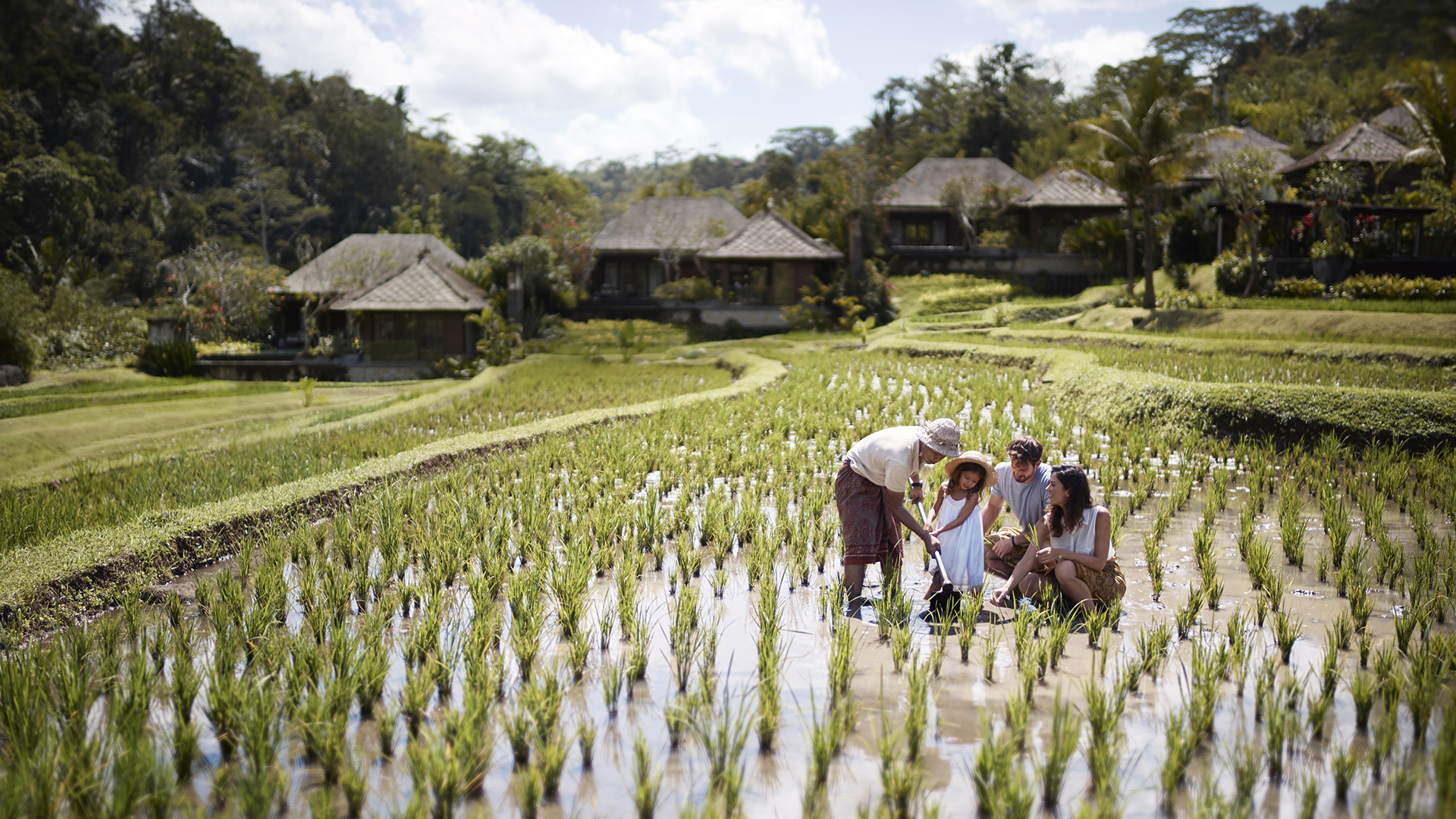 Subak farming