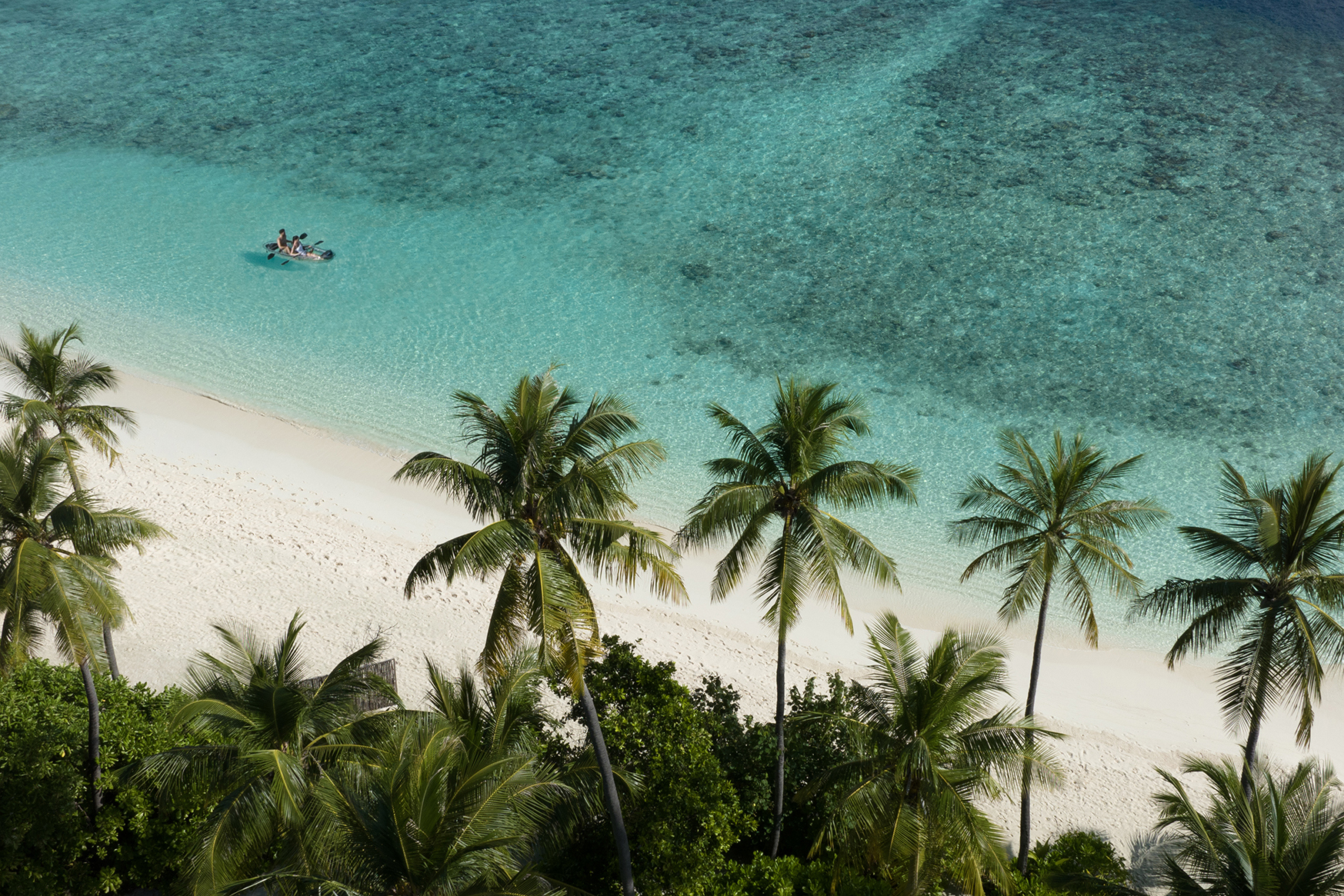 Aerial view of a pristine beach with turquoise waters and lush palm trees with a couple kayaking in the shallows at InterContinental Maldives.