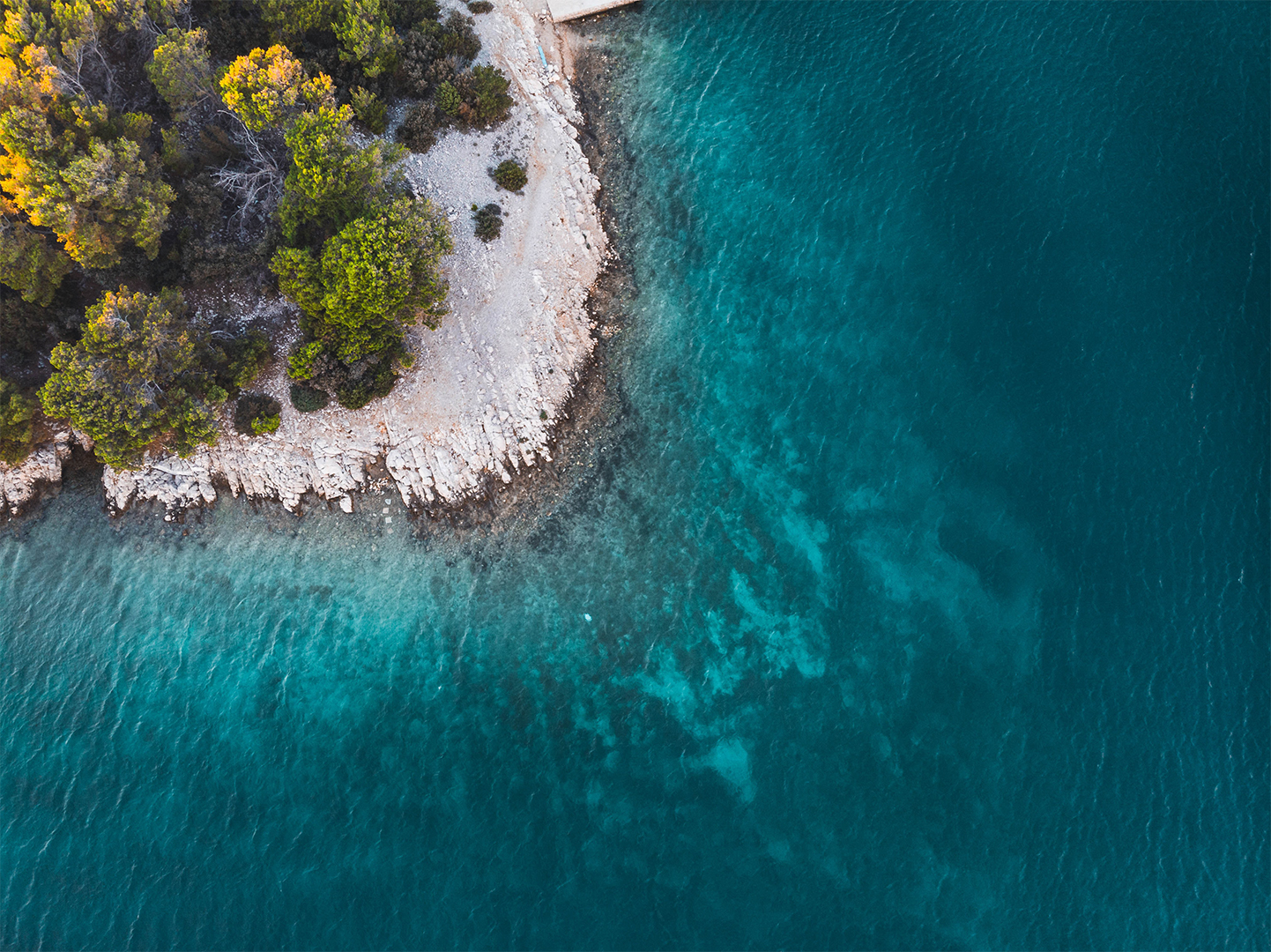Aerial view of a coastline with trees and clear turquoise waters.
