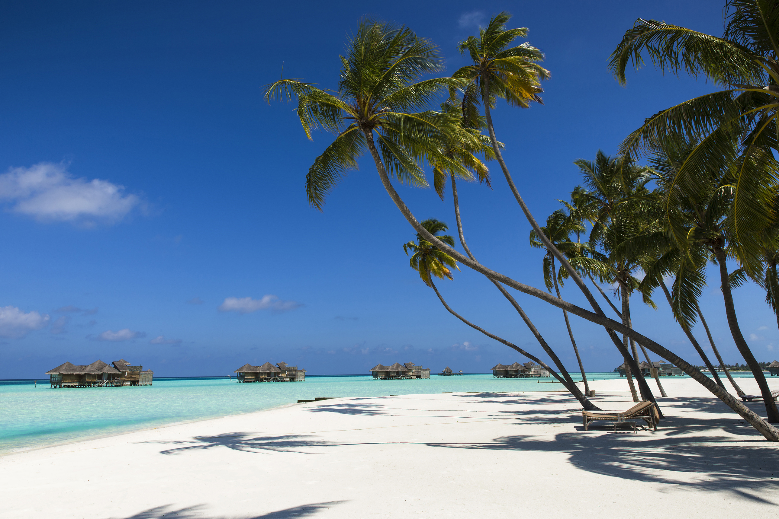 Indian Ocean, Maldives, Gili Lankanfushi, Beach