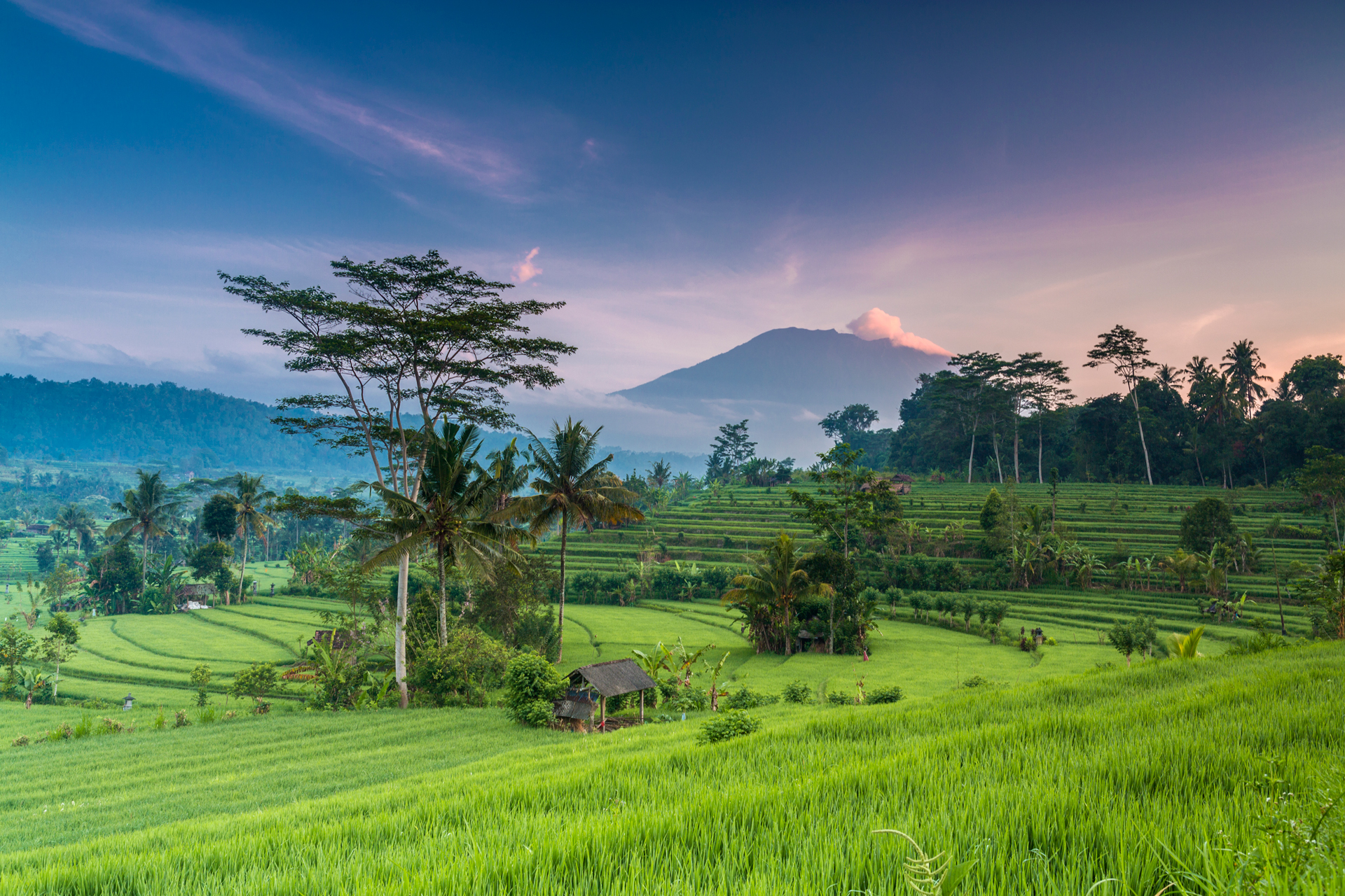 A green field with trees and mountains in the background