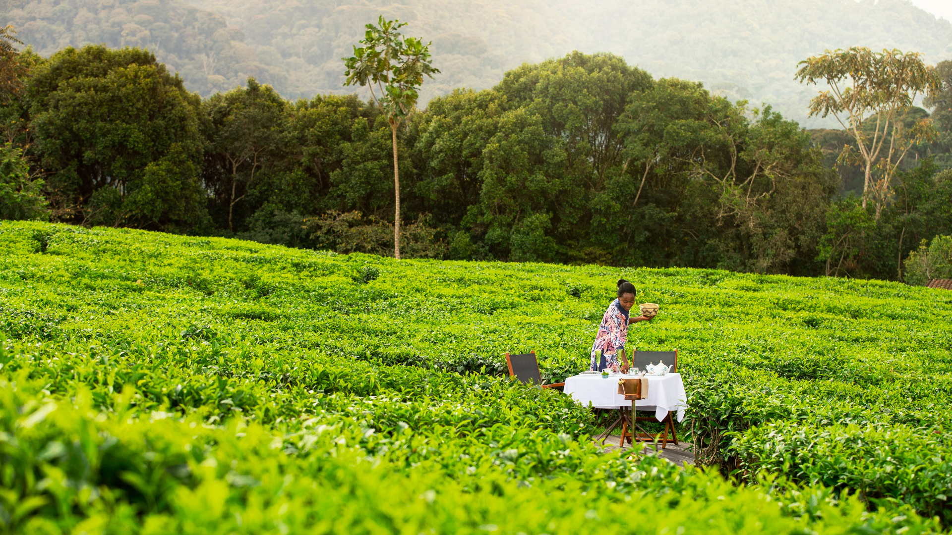 Africa, Rwanda, One&Only Ngyungwe House, Outdoor Dining
