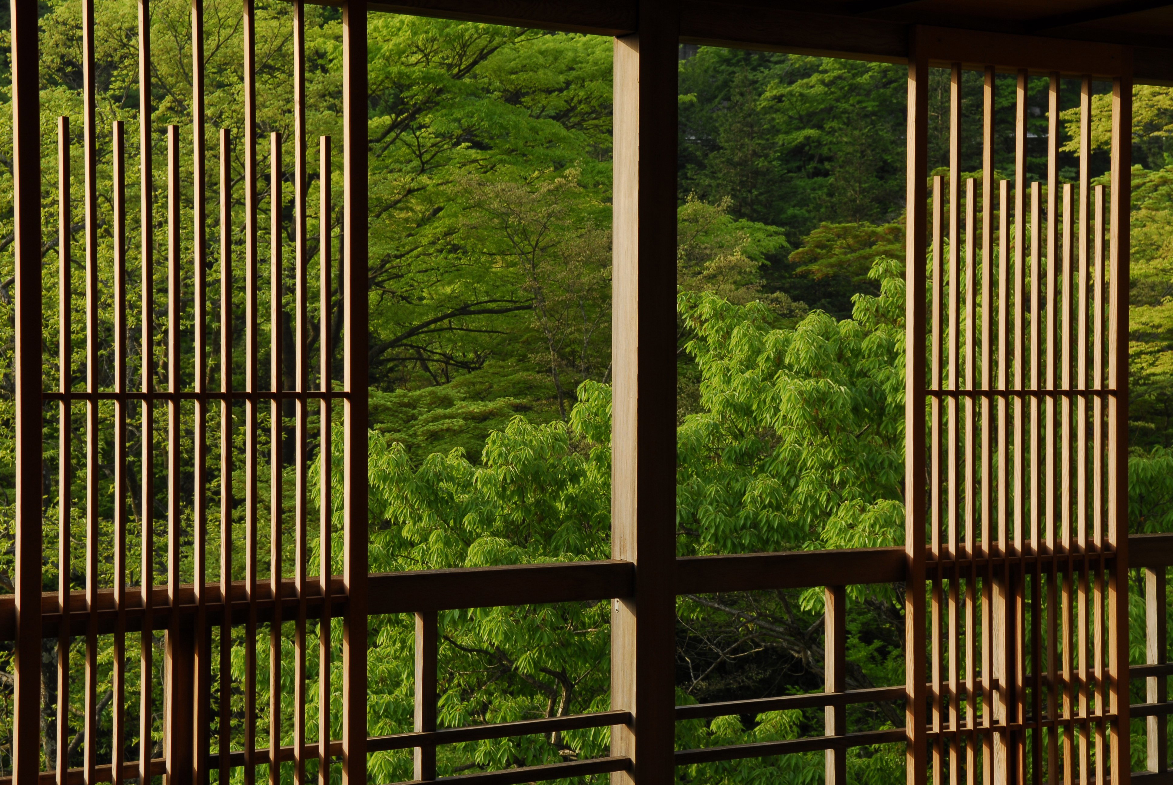 A decorative wooden terrace overlooking lush green jungle