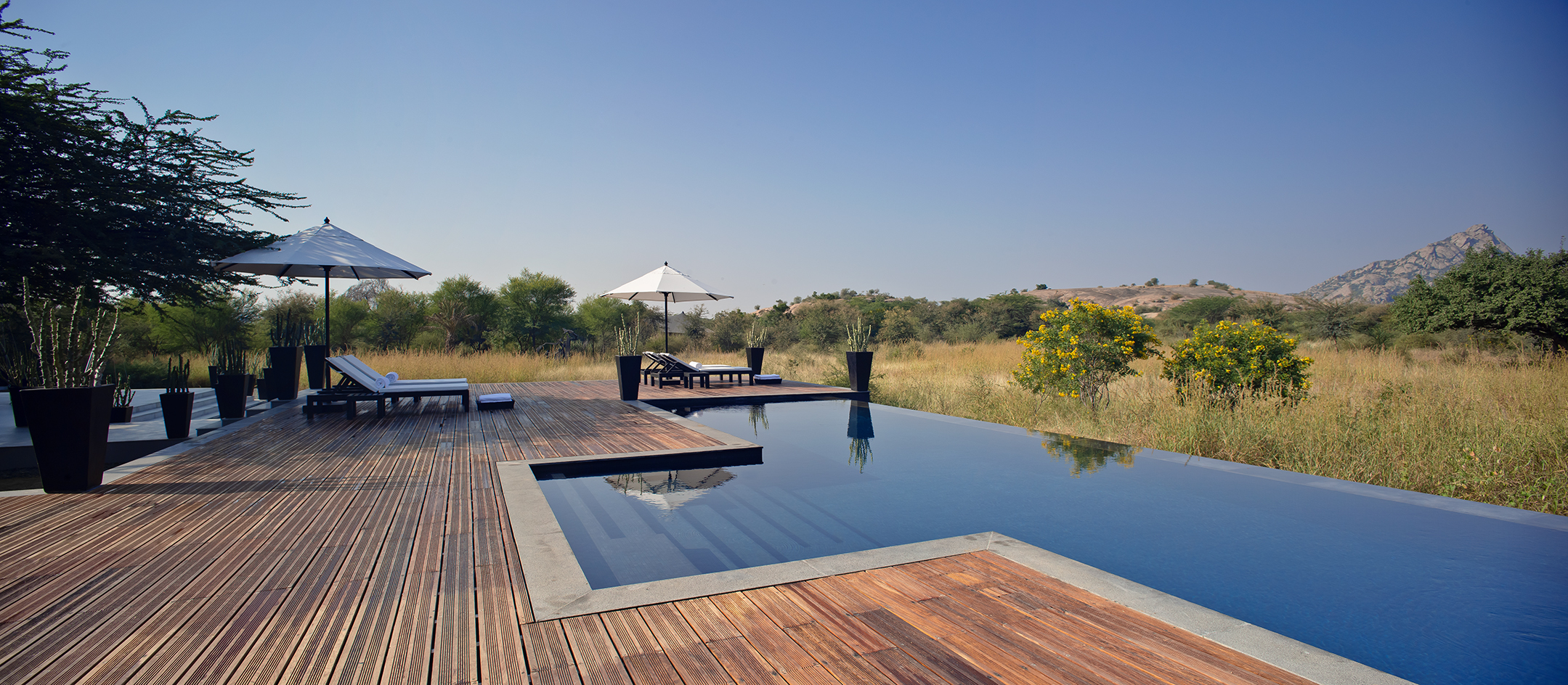 Asia, India, SUJAN Jawai, swimming pool