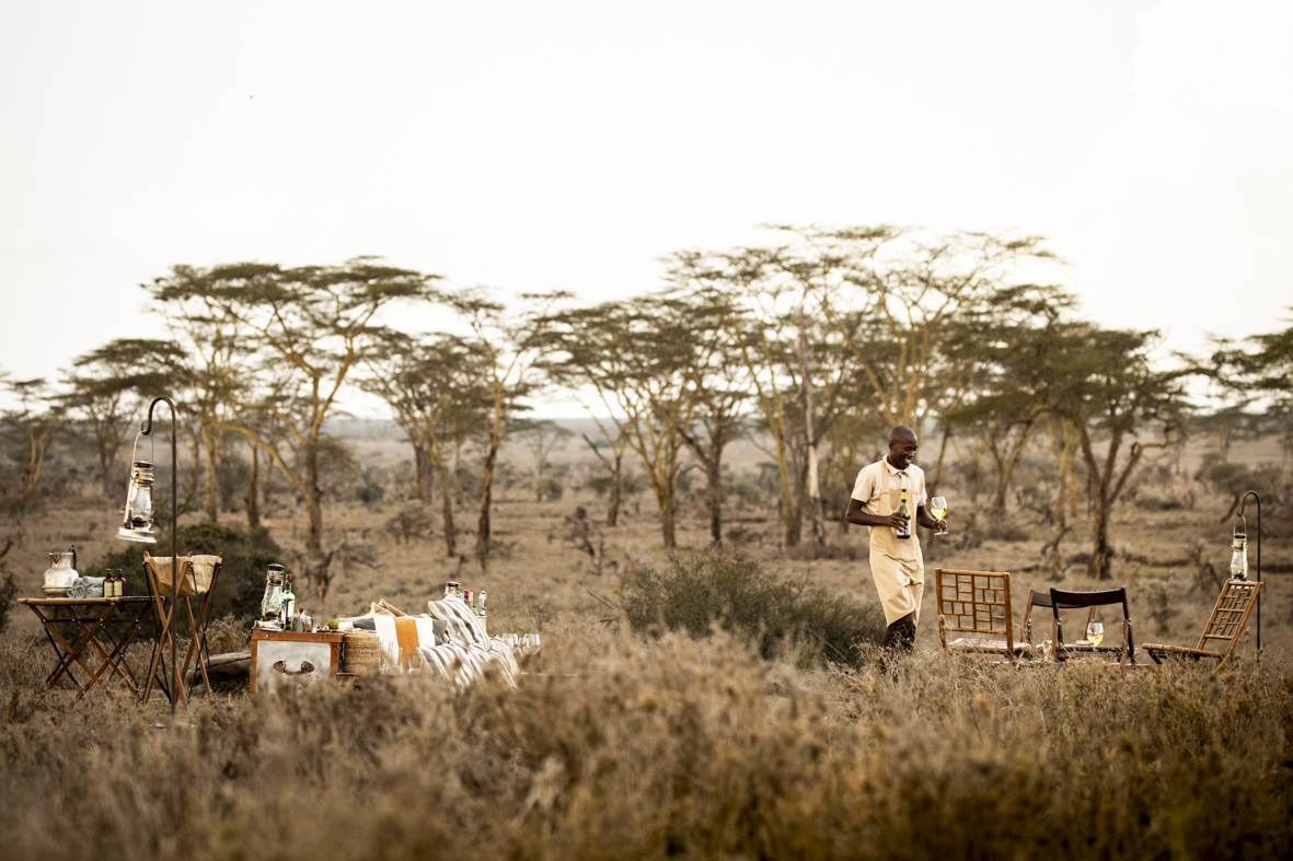 A man setting up an indulgent outdoor picnic among grass and trees in the savannah