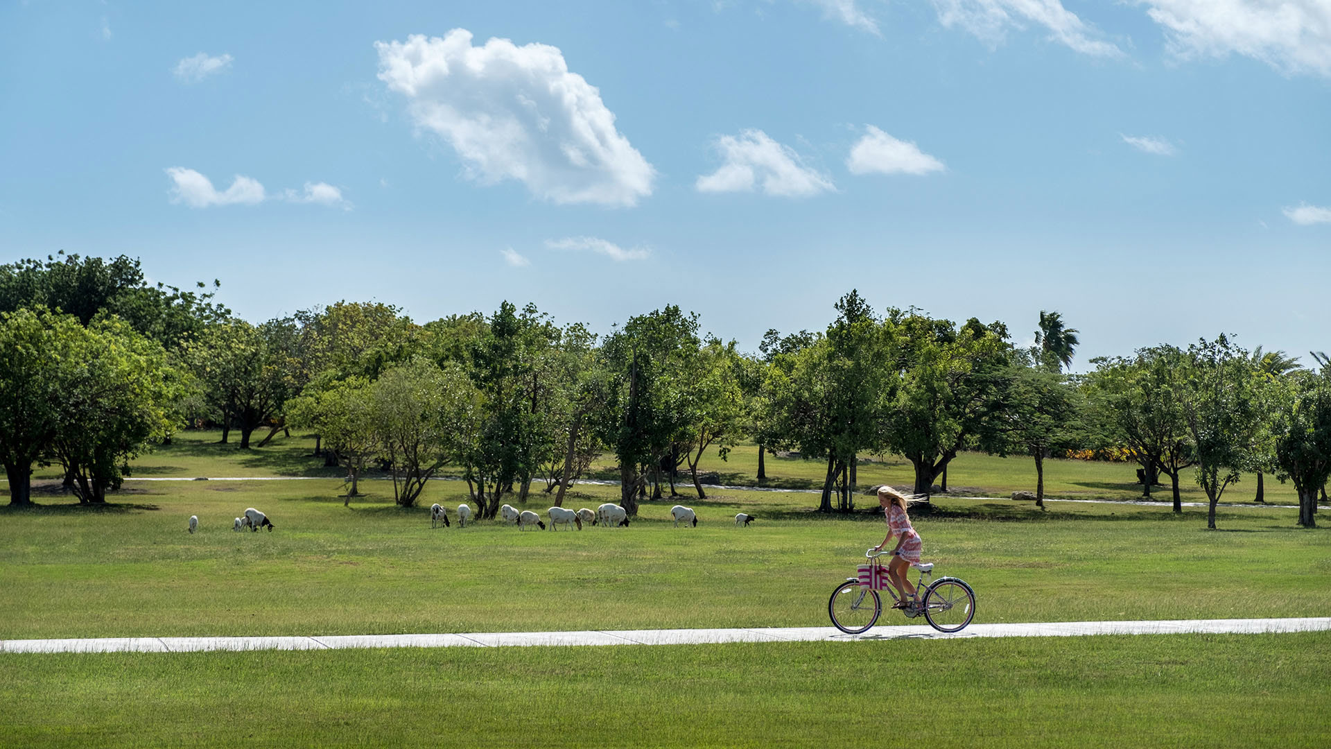 Caribbean, Antigua, Jumby Bay, Biking Around Island