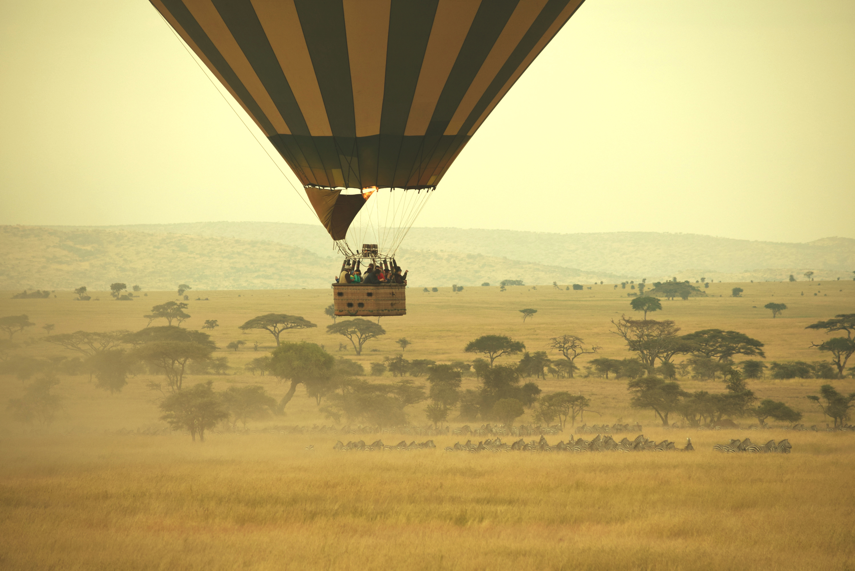 The basket and base of a hot air balloon floating over a herd of wildebeest with a vast horizon of grasslands and trees behind