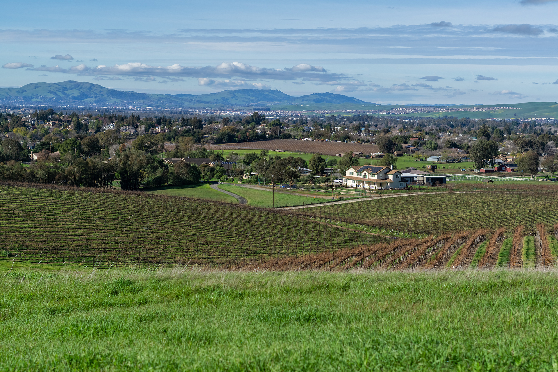 A large field with a house in the distance