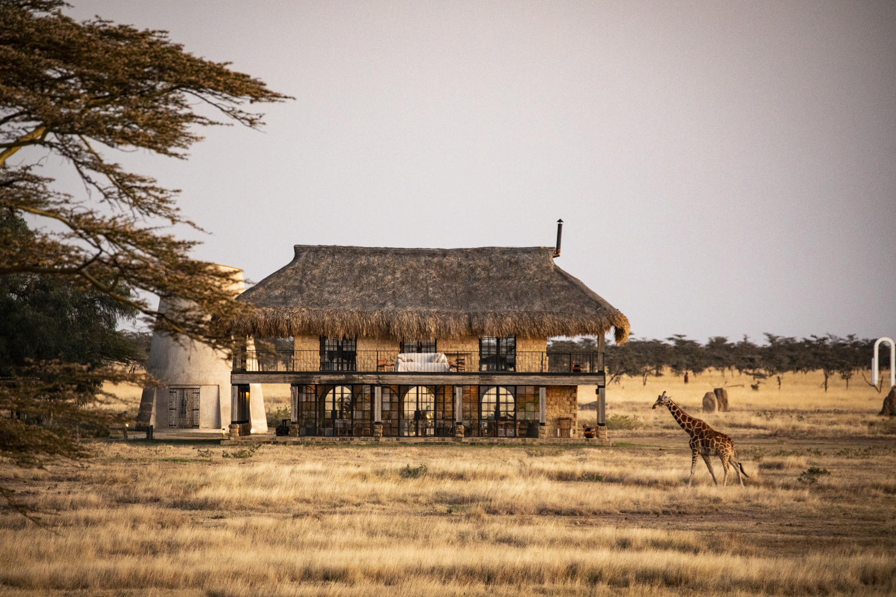 A thatched two floored lodge in the savannah with a giraffe walking by