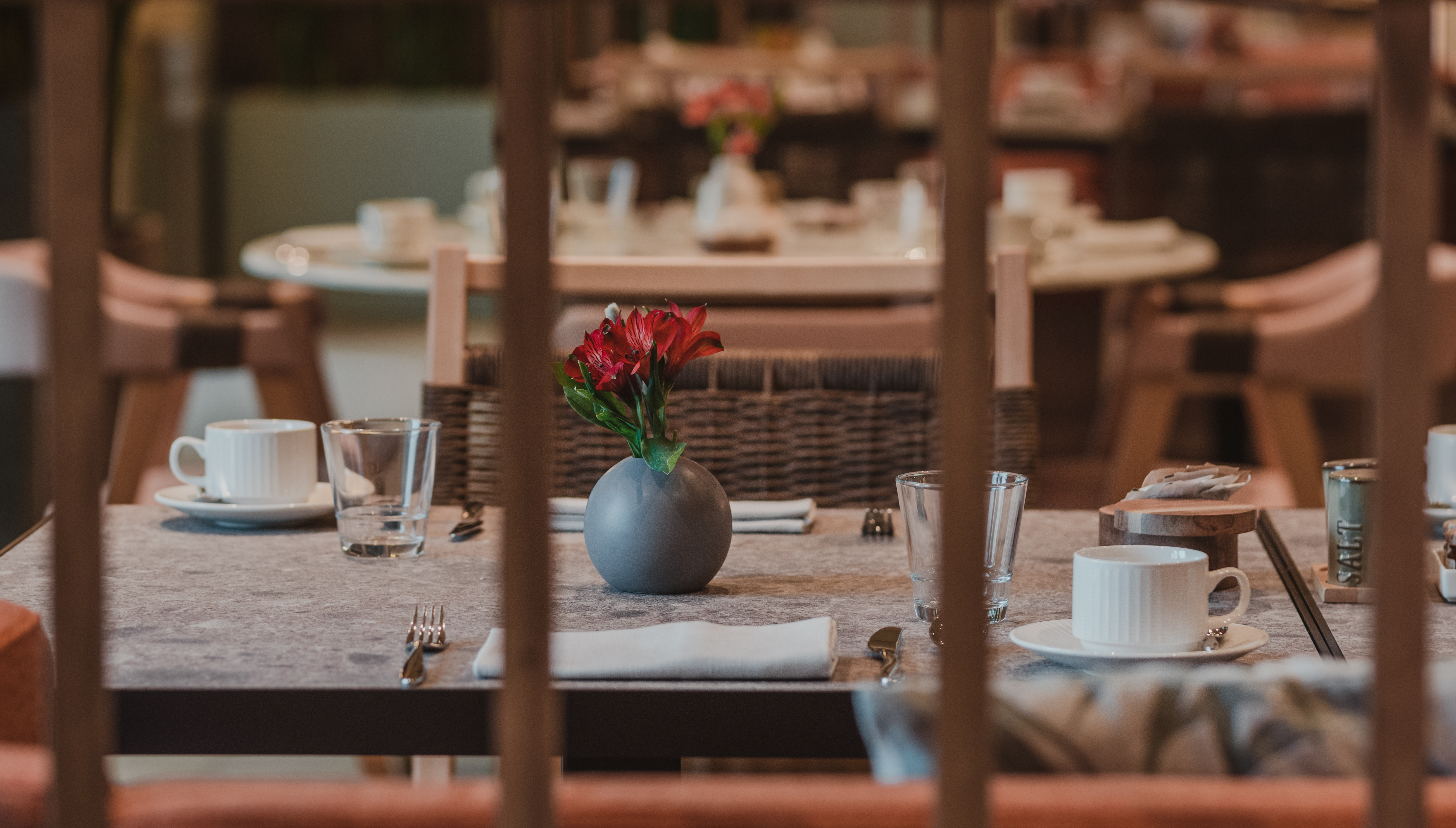 A restaurant table set for dining with a red flower centerpiece, viewed through chair backs