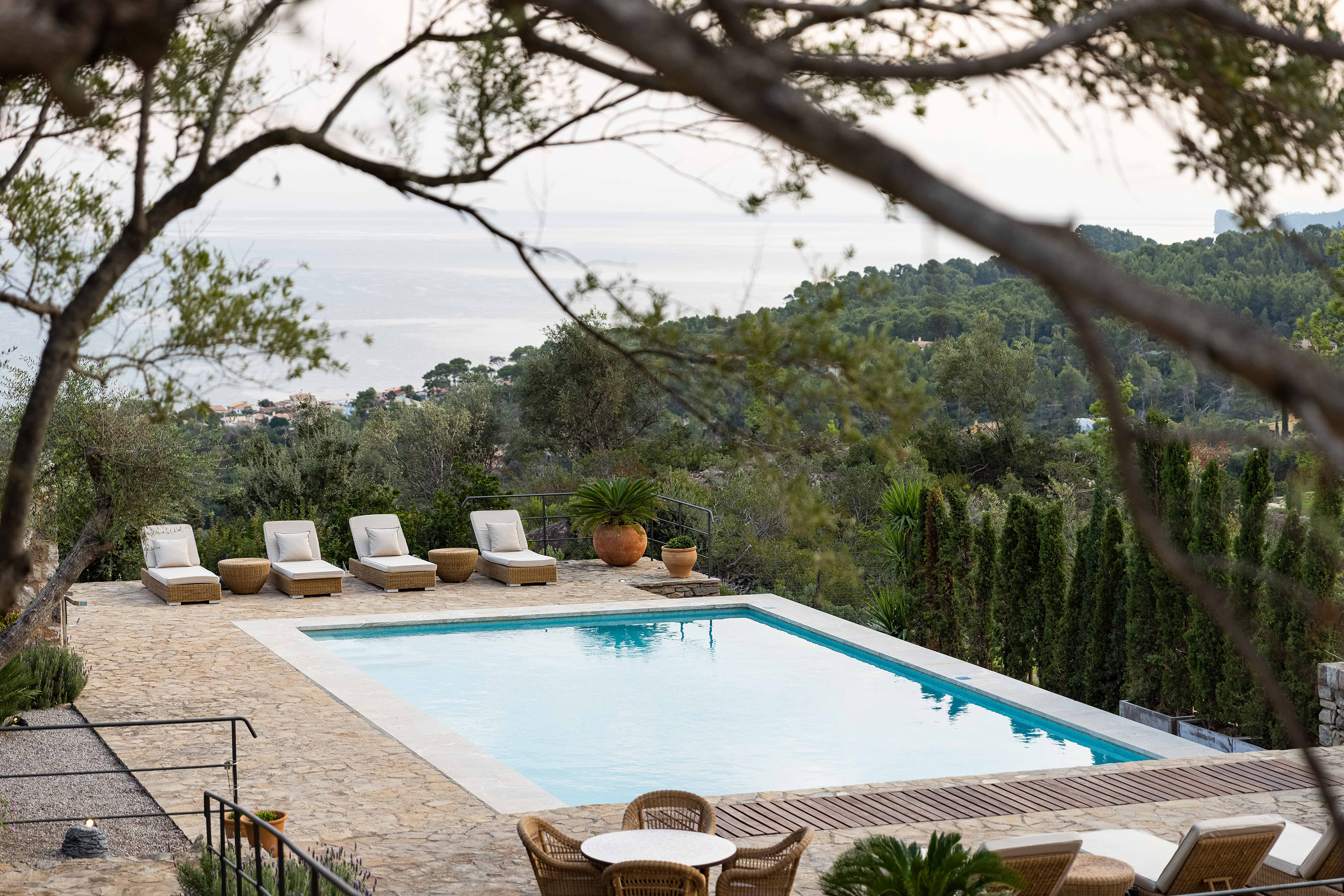 Pool with sea views surrounded by sun loungers through the branches of a tree