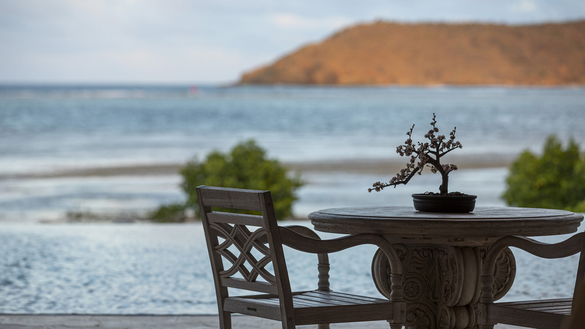 Caribbean, British Virgin Islands, Moskito Island, Moskito Island Bonsai