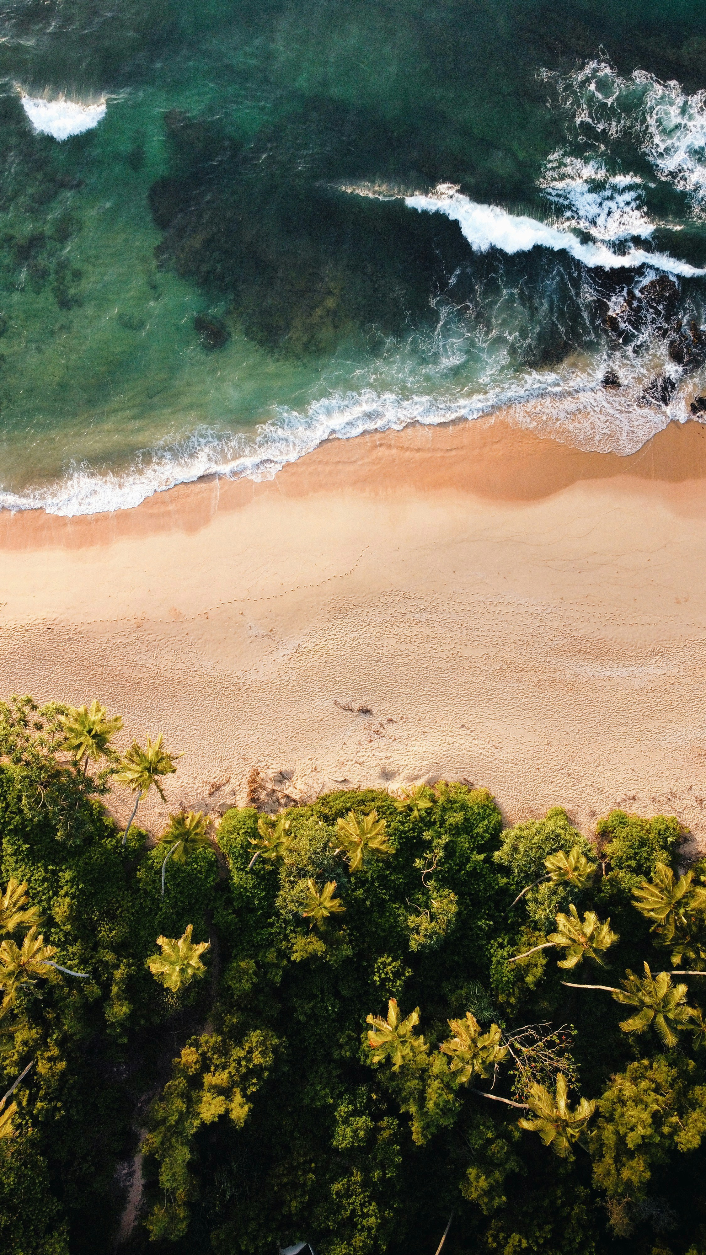 Aerial of a beach in Tangalle with lush green forest and waves