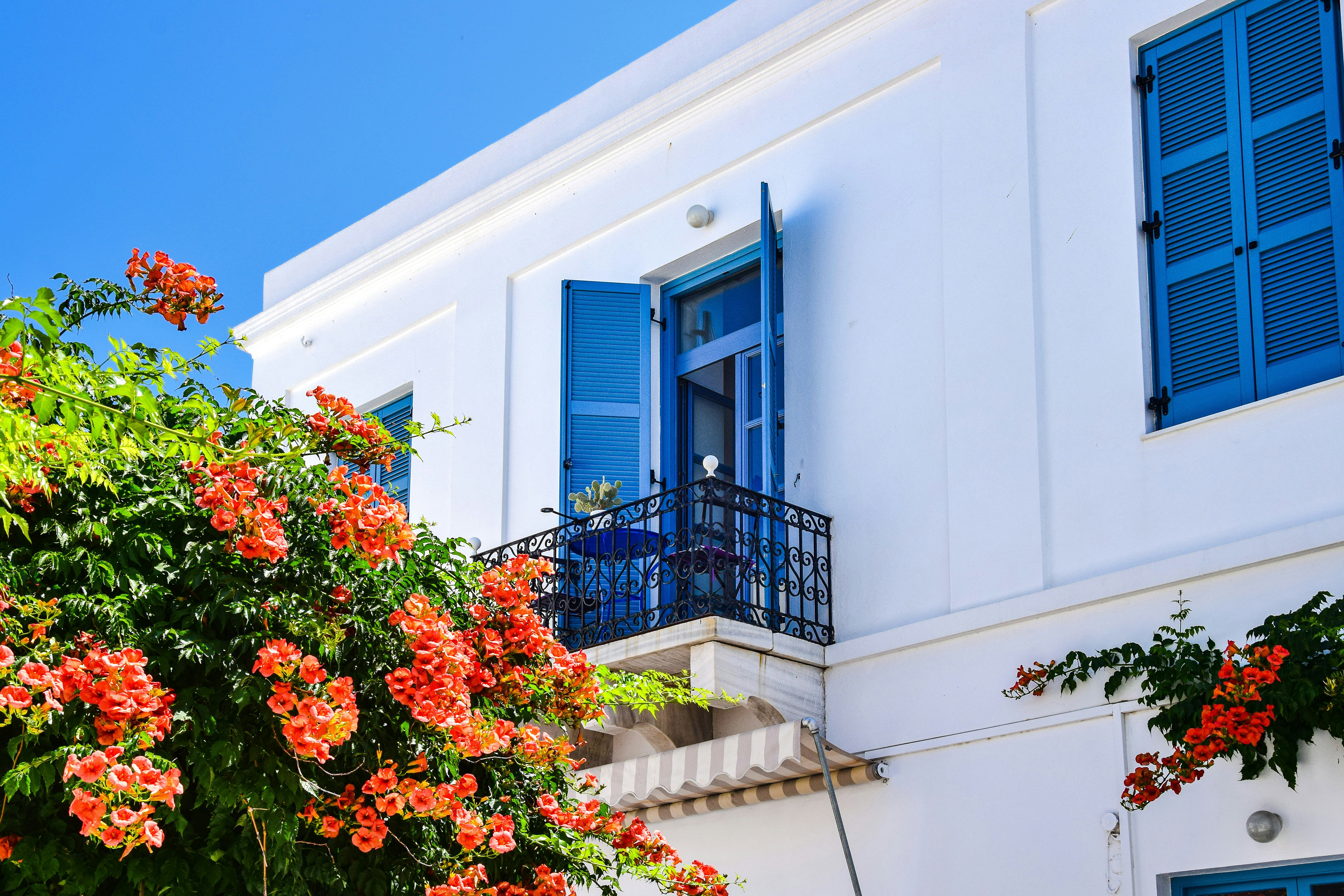 Small veranda of a white washed building in Mykonos with blue shutters and a tree with orange flowers below