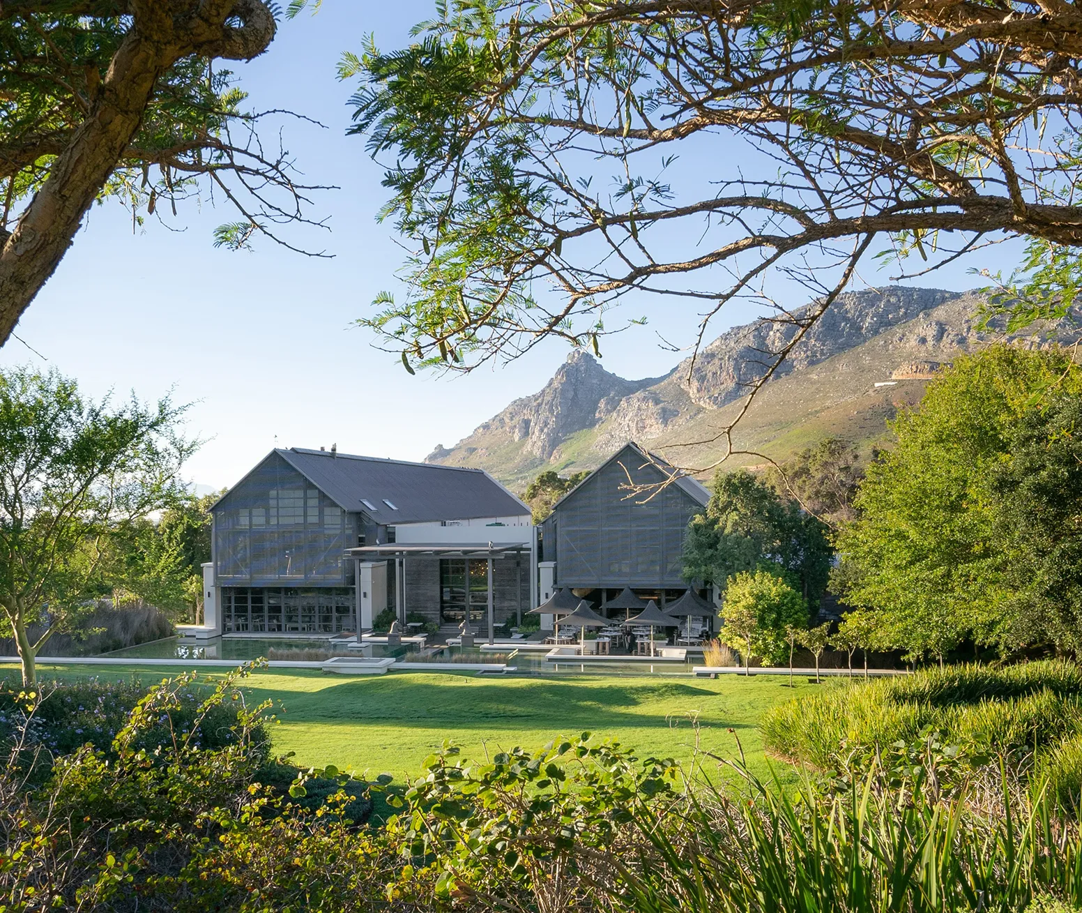 Africa, South Africa, Steenberg, Bistro Sixteen82 wine and tasting room