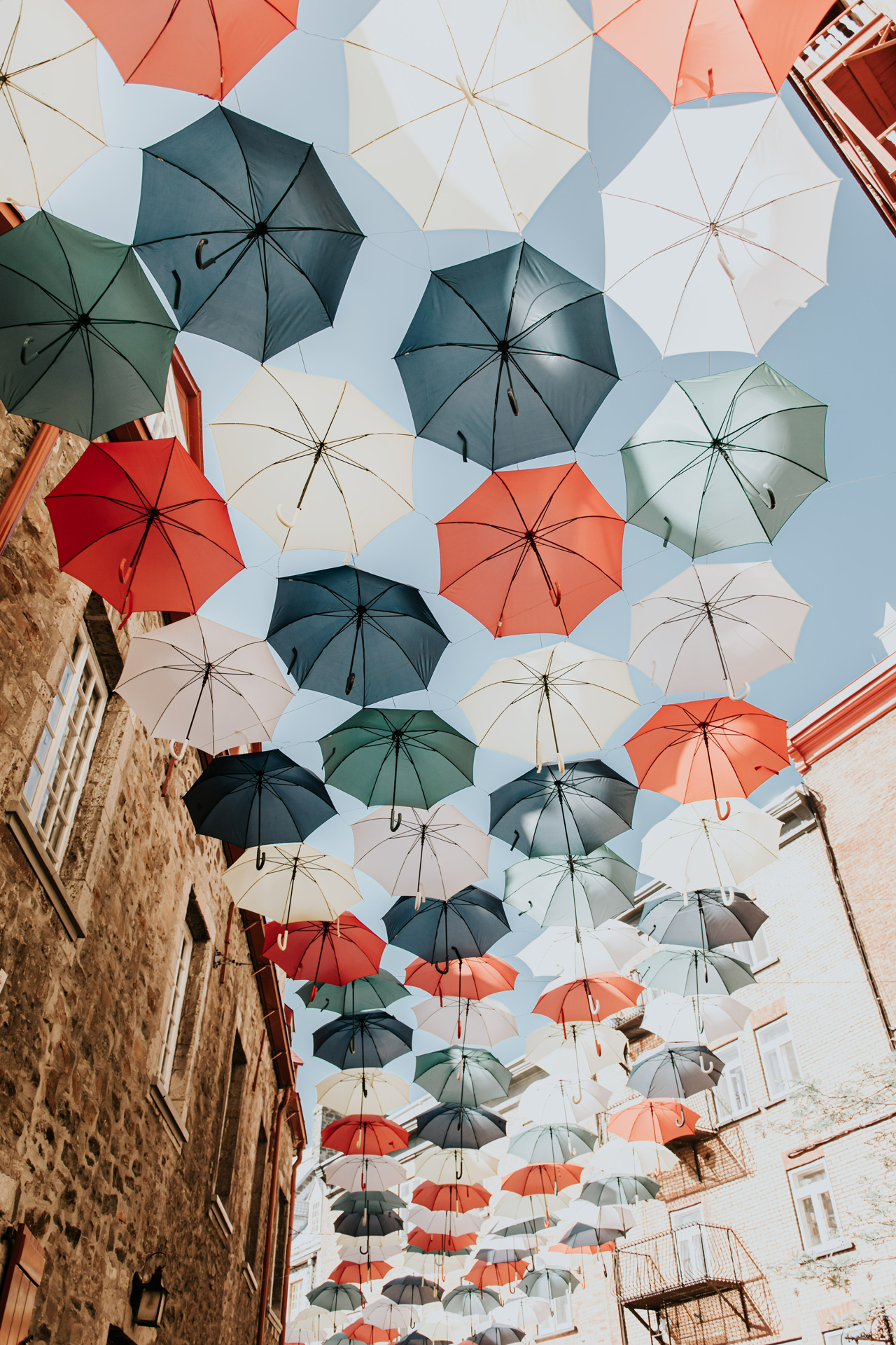 An assortment of different coloured umbrellas hanging above