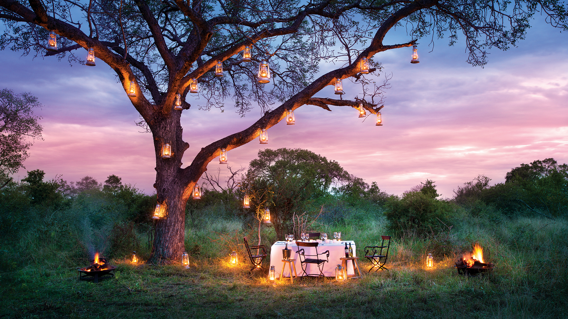 Forest dining