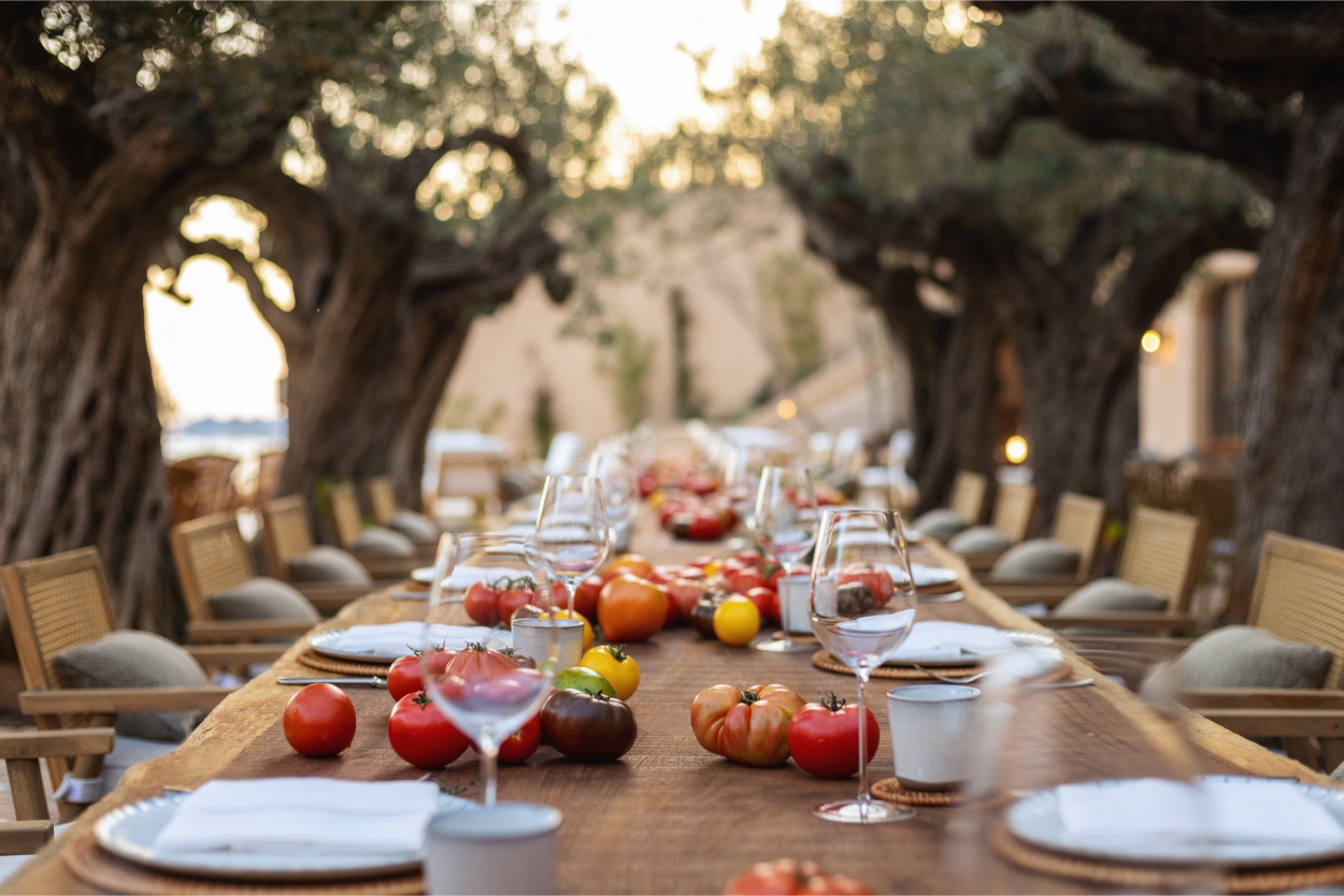 A long wooden table set for a meal with various tomatoes and wine glasses, surrounded by olive trees.