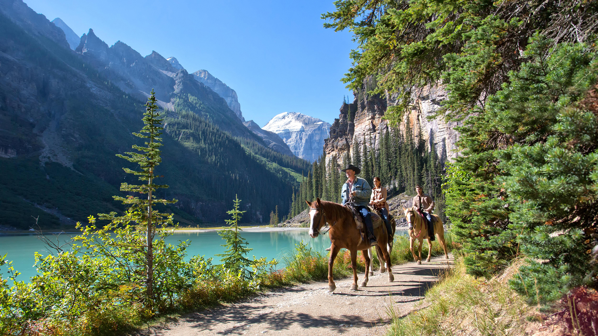 North America, Canada, Alberta - Lake Louise, Fairmont Chateau Lake Louise, Horseback ride at the shoreline