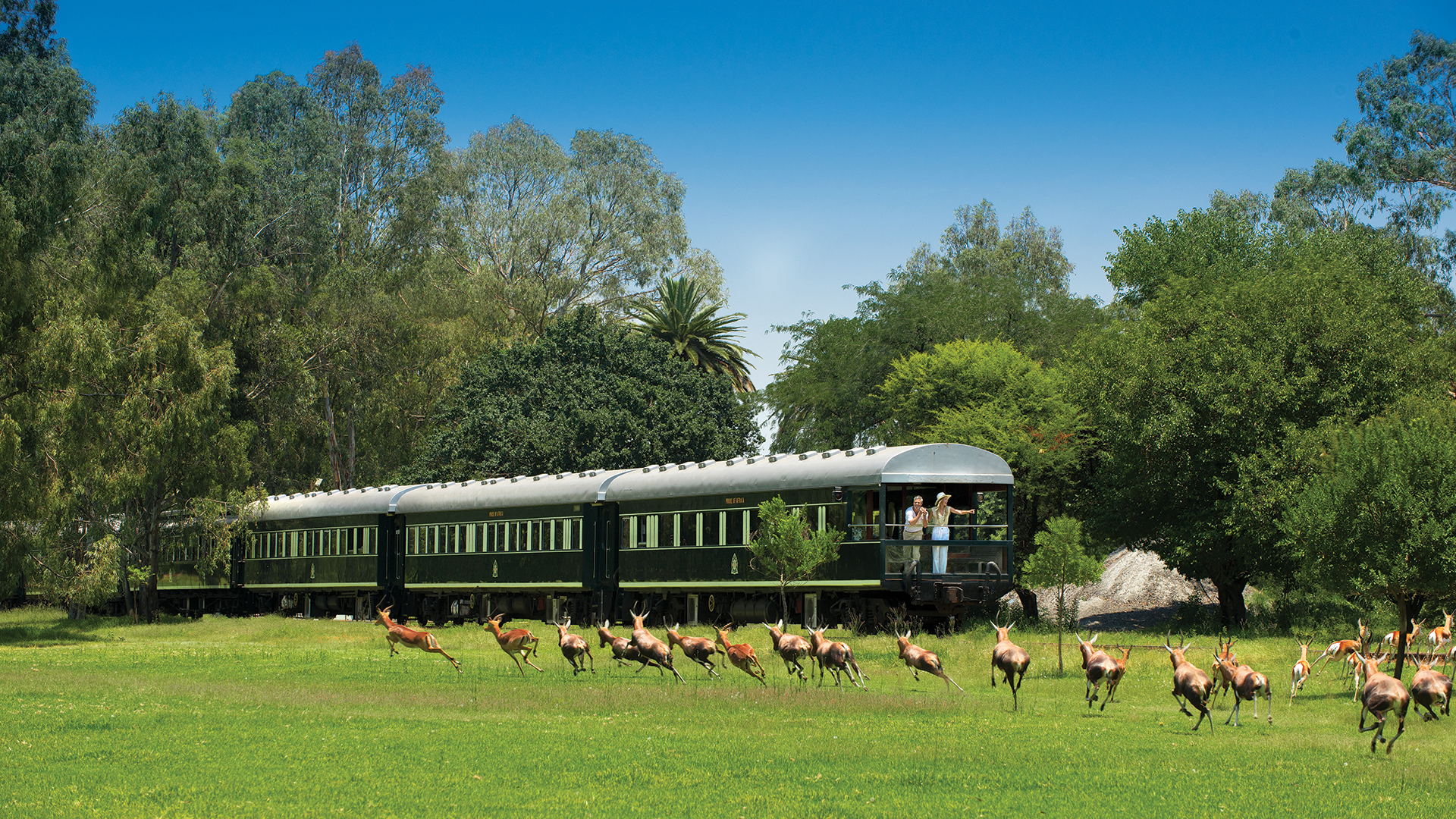 Africa, South africa, Rovos rail, Viewing